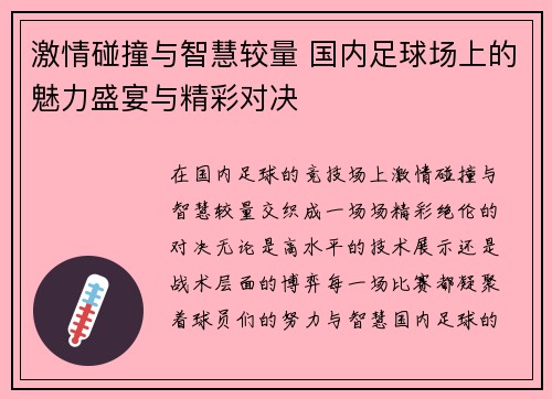 激情碰撞与智慧较量 国内足球场上的魅力盛宴与精彩对决
